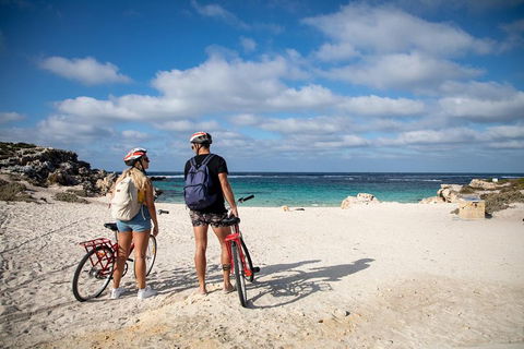 Experience Rottnest With Ferry & Bike Hire From Perth Or Fremantle - Phillip Island Accommodation 5