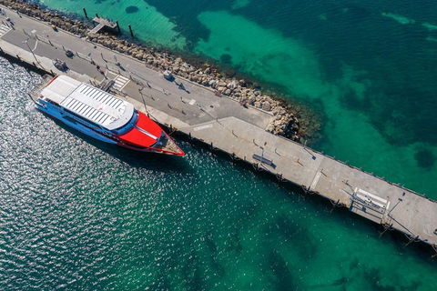 Rottnest Island Round-Trip Ferry From Perth Or Fremantle - Phillip Island Accommodation 1