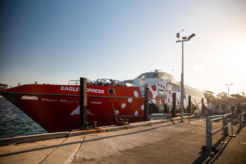 Rottnest Island Round-Trip Ferry From Perth Or Fremantle - Phillip Island Accommodation 2