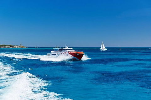 Rottnest Island Round-Trip Ferry From Perth Or Fremantle - Phillip Island Accommodation 4
