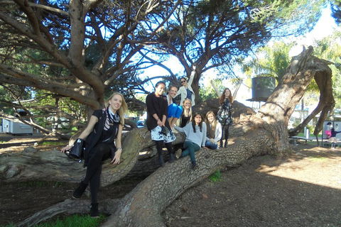 1/2 Day Swan Valley Wine Cheese & Chocolate Tour Inc Afternoon Cruise To Perth - Phillip Island Accommodation 0