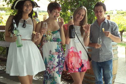 1/2 Day Swan Valley Wine Cheese & Chocolate Tour Inc Afternoon Cruise To Perth - Phillip Island Accommodation 4