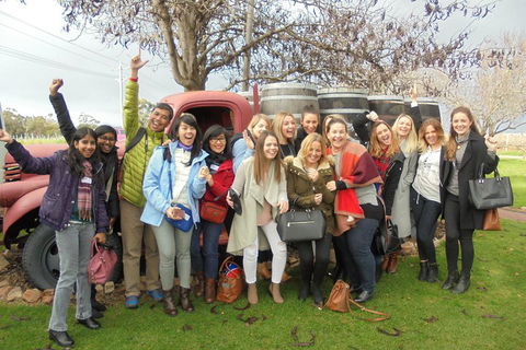 1/2 Day Swan Valley Wine Cheese & Chocolate Tour Inc Afternoon Cruise To Perth - Phillip Island Accommodation 5