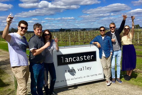 Swan Valley Tour From Perth: Wine, Beer And Chocolate Tastings - Phillip Island Accommodation 1