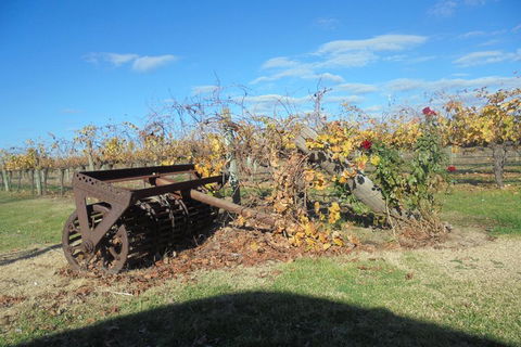 Swan Valley Tour From Perth: Wine, Beer And Chocolate Tastings - Phillip Island Accommodation 3