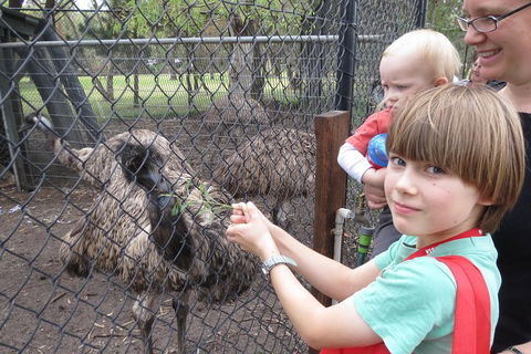 Swan Valley Half-Day Food Tour And Wine Trail From Perth - Phillip Island Accommodation 5