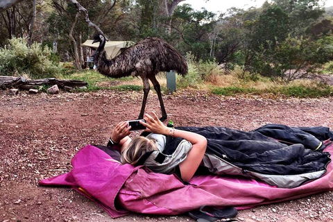 6 Day Esperance & Margaret River Adventure Tour - Phillip Island Accommodation 5