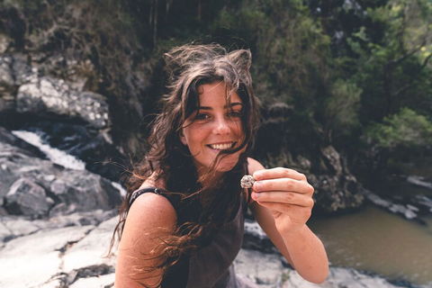 Springbrook AndTamborine Rainforest Tour Incl Natural Bridge And Glow Worm Cave - Phillip Island Accommodation 1