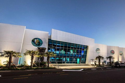 Cairns Aquarium Admission Ticket - Phillip Island Accommodation 4