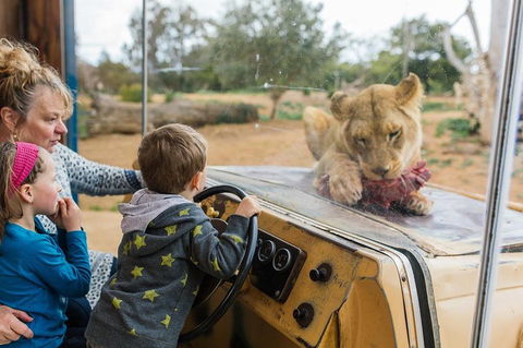 Werribee Open Range Zoo General Admission Ticket - Phillip Island Accommodation 4