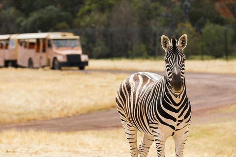 Werribee Open Range Zoo General Admission Ticket - Phillip Island Accommodation 5