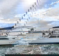 Vivid 90-Minute Sydney Harbour Catamaran Cruise with BYO Drinks