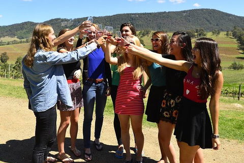 Hunter Valley Wine Tour From Sydney Incl Lunch, Cheese, Chocolate And Distillery - Phillip Island Accommodation 3