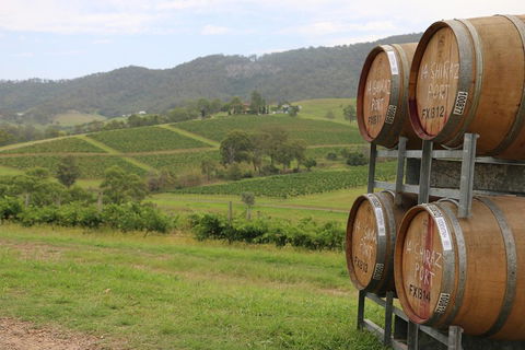 Hunter Valley Wine Tour From Sydney Incl Lunch, Cheese, Chocolate And Distillery - Phillip Island Accommodation 5