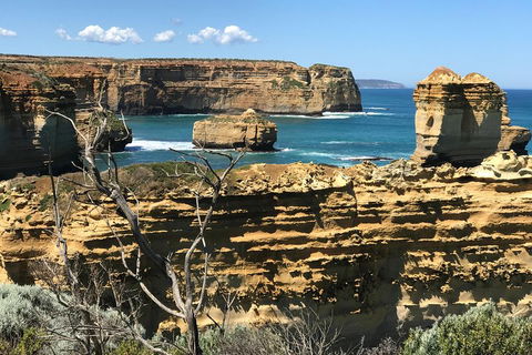 Great Ocean Road Reverse Itinerary Tour - Phillip Island Accommodation 1
