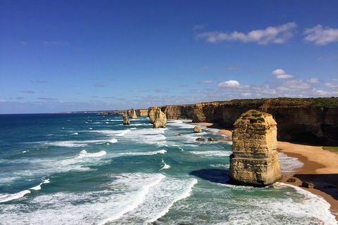 Great Ocean Road Reverse Itinerary Tour - Phillip Island Accommodation 4
