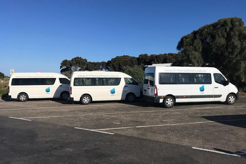 Great Ocean Road Reverse Itinerary Tour - Phillip Island Accommodation 5