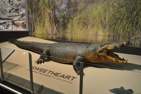 Explore Darwin City Sights Including Key Attractions - Phillip Island Accommodation 2