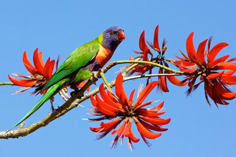 Half Day Perth & Fremantle Highlights - Phillip Island Accommodation 2