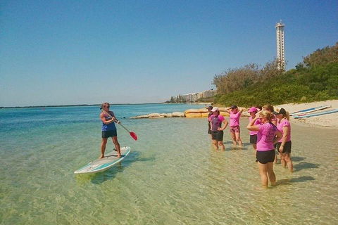 Golden Beach 1-Hour Stand-Up Paddleboard Hire On The Sunshine Coast - Phillip Island Accommodation 1