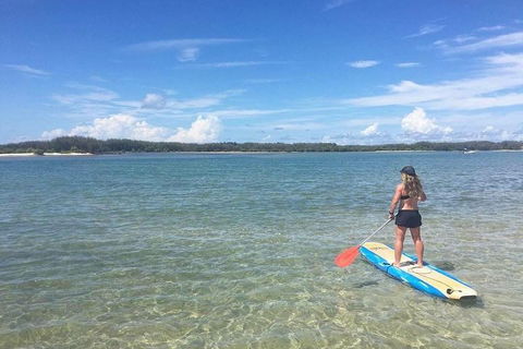 Golden Beach 1-Hour Stand-Up Paddleboard Hire On The Sunshine Coast - Phillip Island Accommodation 4