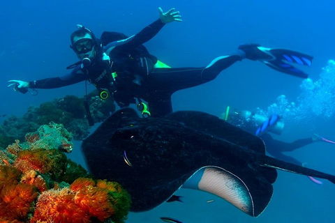 Scuba Dive The S.S. Yongala Wreck On The Great Barrier Reef. - Phillip Island Accommodation 0