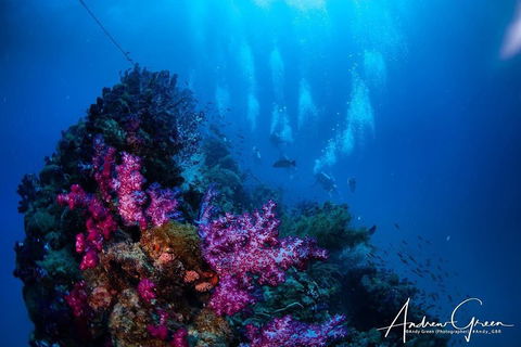 Scuba Dive The S.S. Yongala Wreck On The Great Barrier Reef. - Phillip Island Accommodation 2