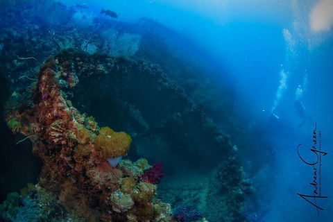 Scuba Dive The S.S. Yongala Wreck On The Great Barrier Reef. - Phillip Island Accommodation 3