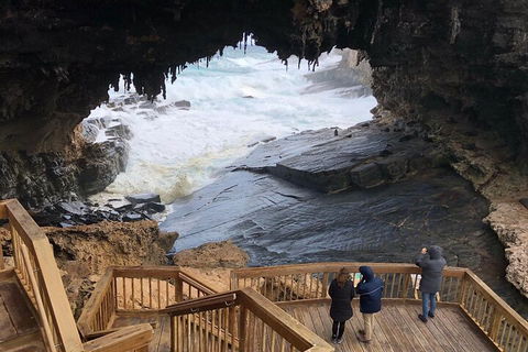 Kangaroo Island 4WD Tour - Best Of KI - Phillip Island Accommodation 1