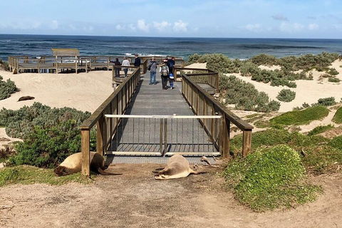 Kangaroo Island 4WD Tour - Best Of KI - Phillip Island Accommodation 2