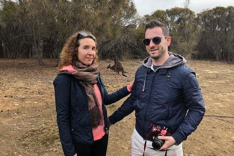 Kangaroo Island 4WD Tour - Best Of KI - Phillip Island Accommodation 3