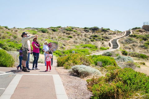 Margaret River Coastal And Wildlife Eco Trip From Busselton Or Dunsborough - Phillip Island Accommodation 0